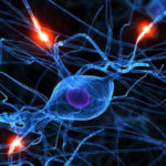 Профилактика заболеваний мозга и нервной системы в целом